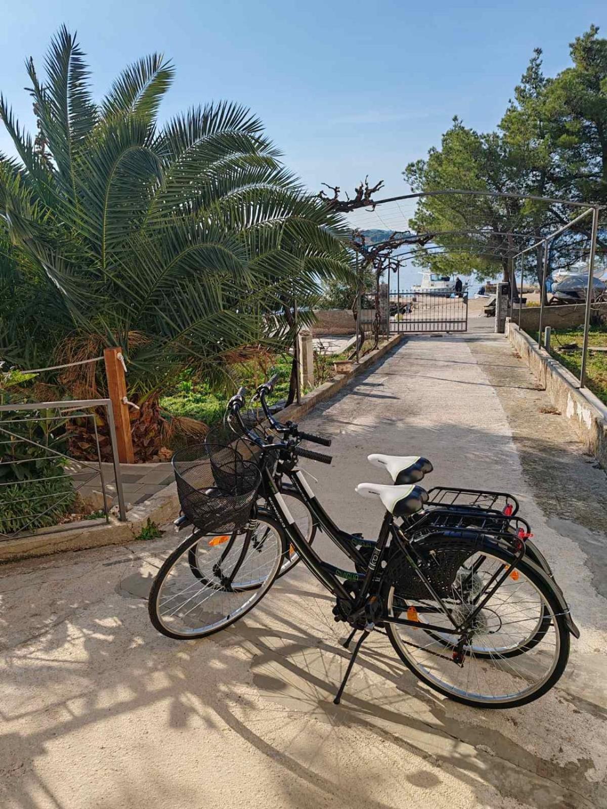 Apartments Alisa Brodarica (Sibenik-Knin) Exterior foto
